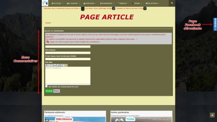 Page Article zone 2